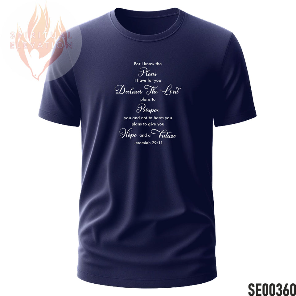 Jeremiah 29:11 | Life Verse